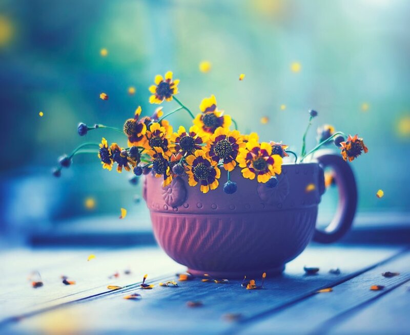 Flowers in a Cup — Blue