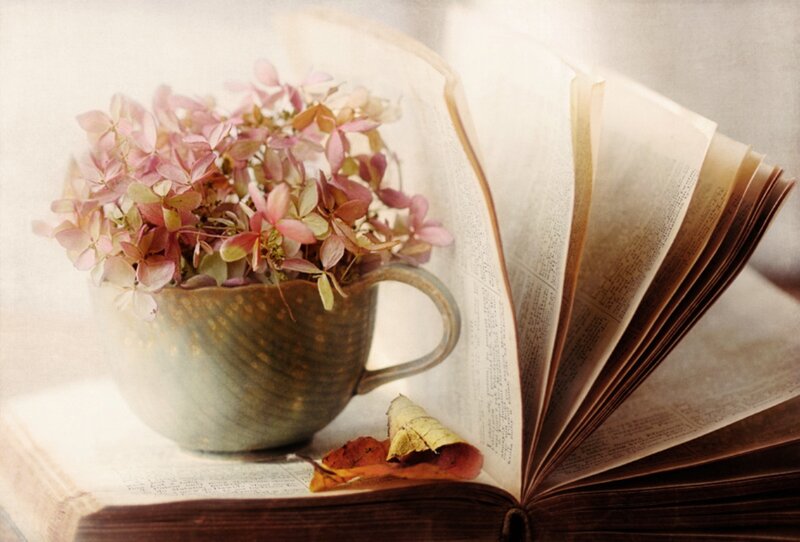 Flowers in a Cup — Pink