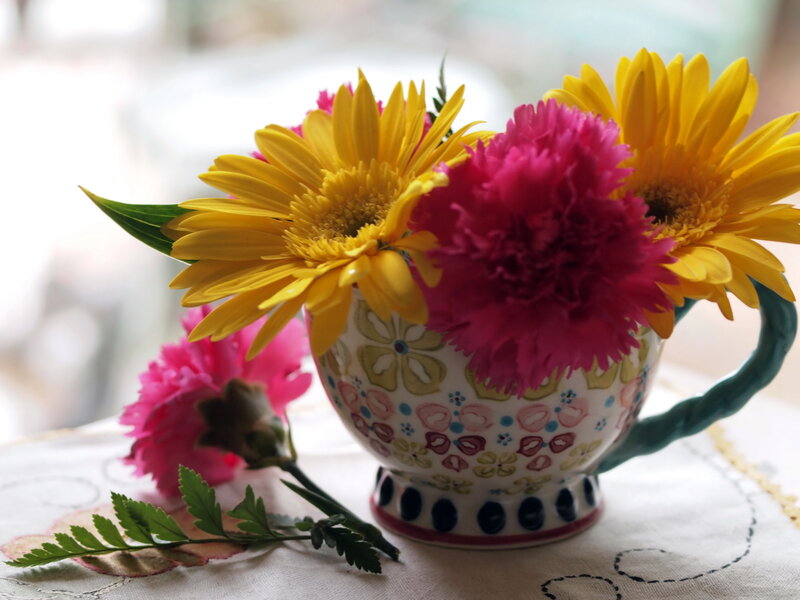Flowers in a Cup