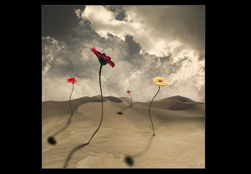 Flowers in a desert landscape