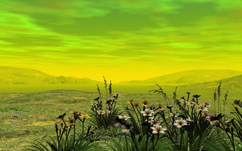 Flowers in a Field — Green, Serene, Sunset, Digital Art