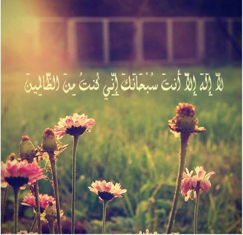 Flowers in a Field — Green, Serene, Sunset