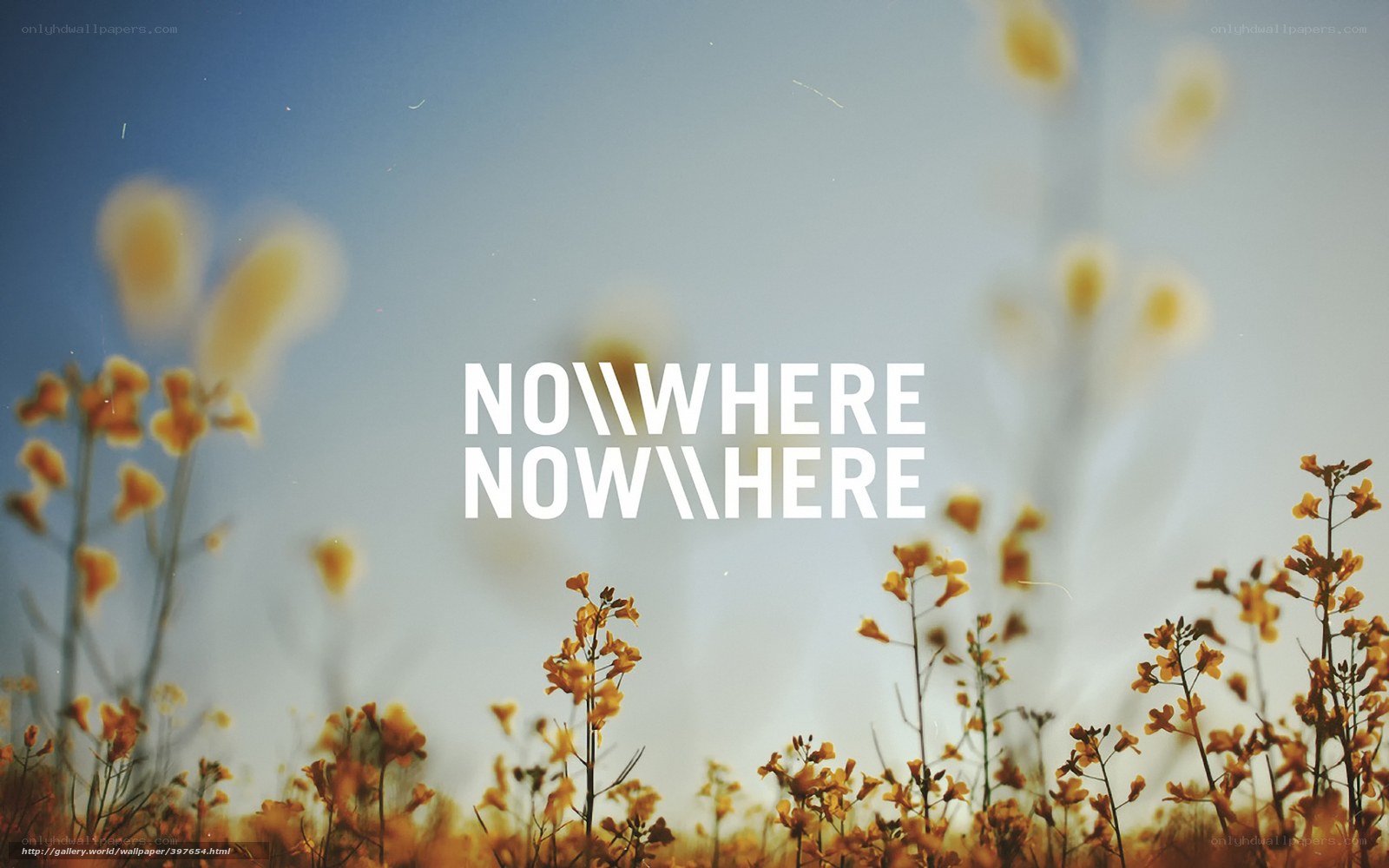 Flowers in a field with text