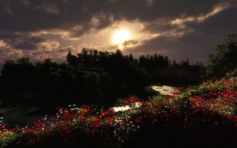 Flowers in a Garden — Red