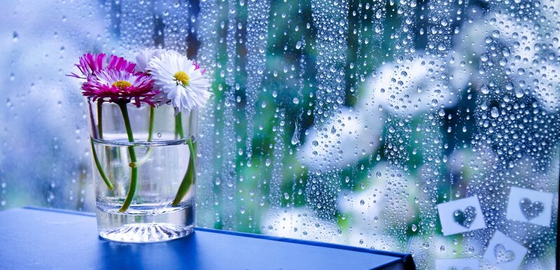 Flowers in a Glass — Blue
