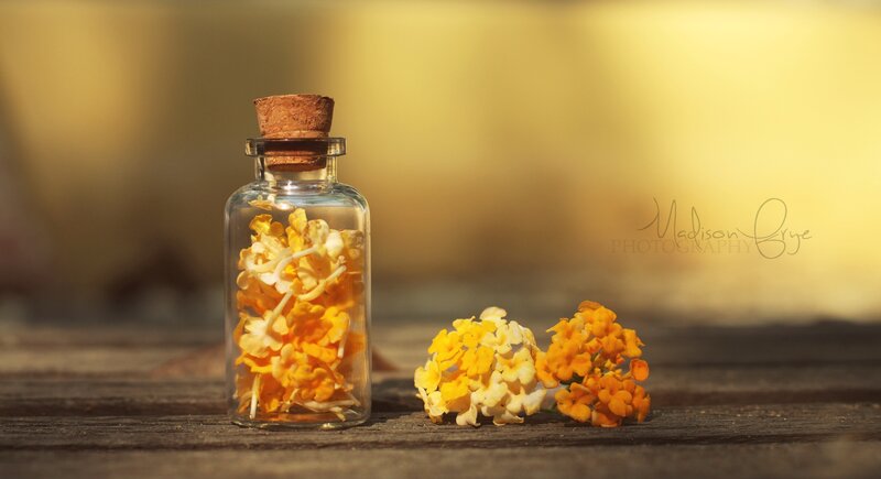 Flowers in a Glass Bottle