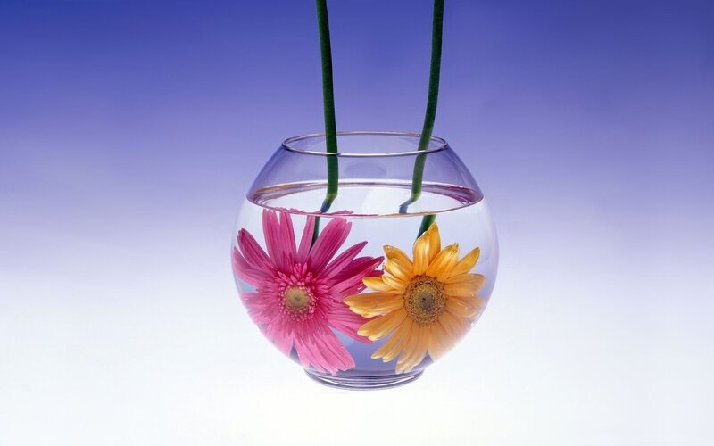 Flowers in a glass bowl