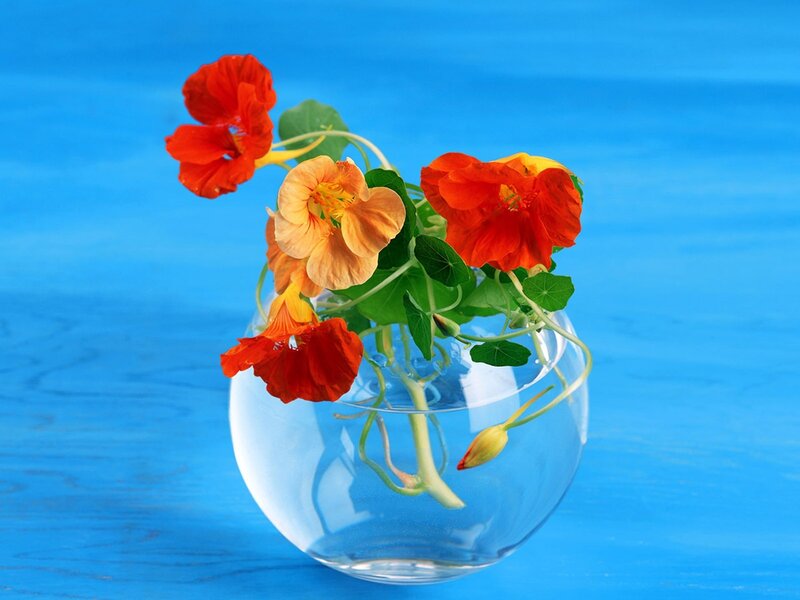 Flowers in a glass bowl