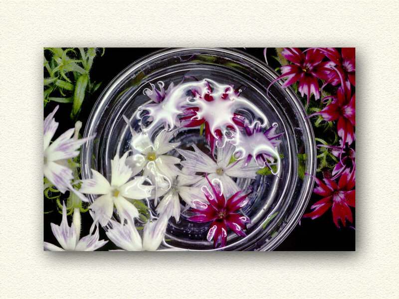 Flowers in a glass bowl