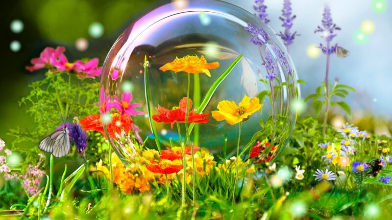 Flowers in a Glass Dome — Green