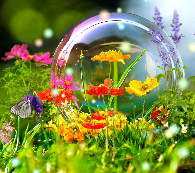 Flowers in a Glass Dome