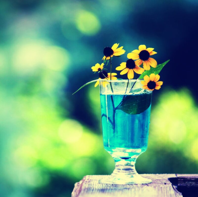 Flowers in a Glass
