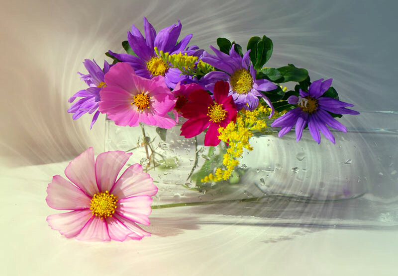 Flowers in a Glass Vase — Purple, Calm