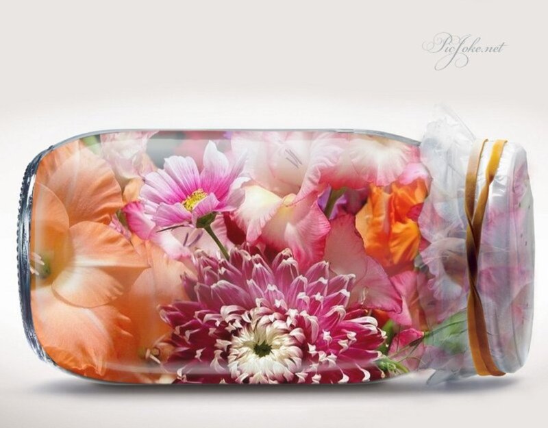Flowers in a Jar — Pink, Serene, Photograph