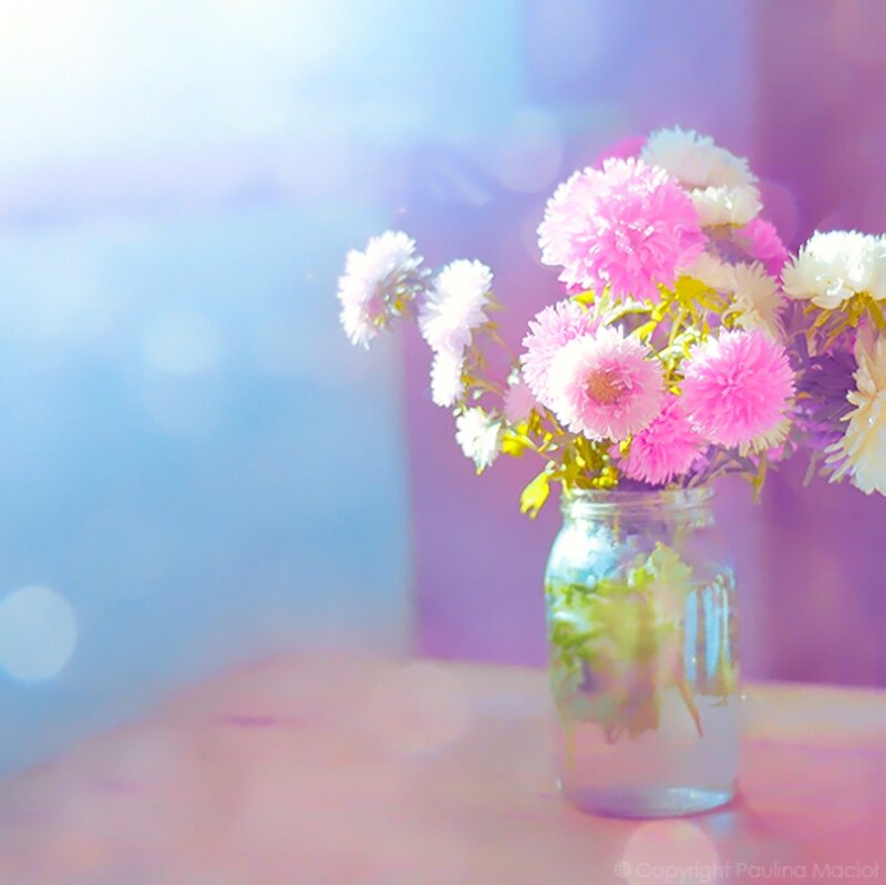 Flowers in a Jar — Pink, Serene