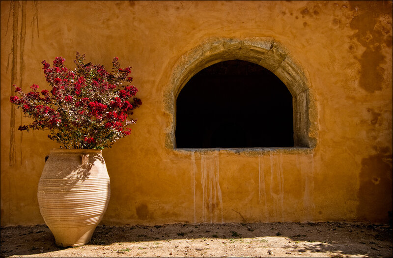 Flowers in a large pot