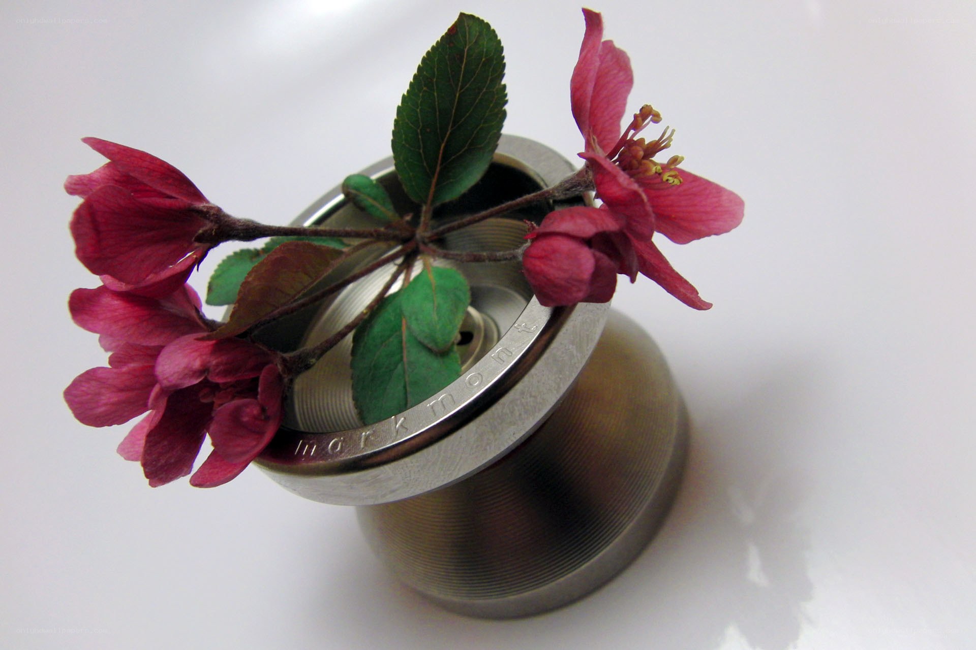 Flowers in a metal container