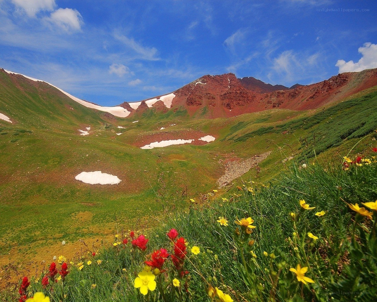 Flowers in a mountain valley