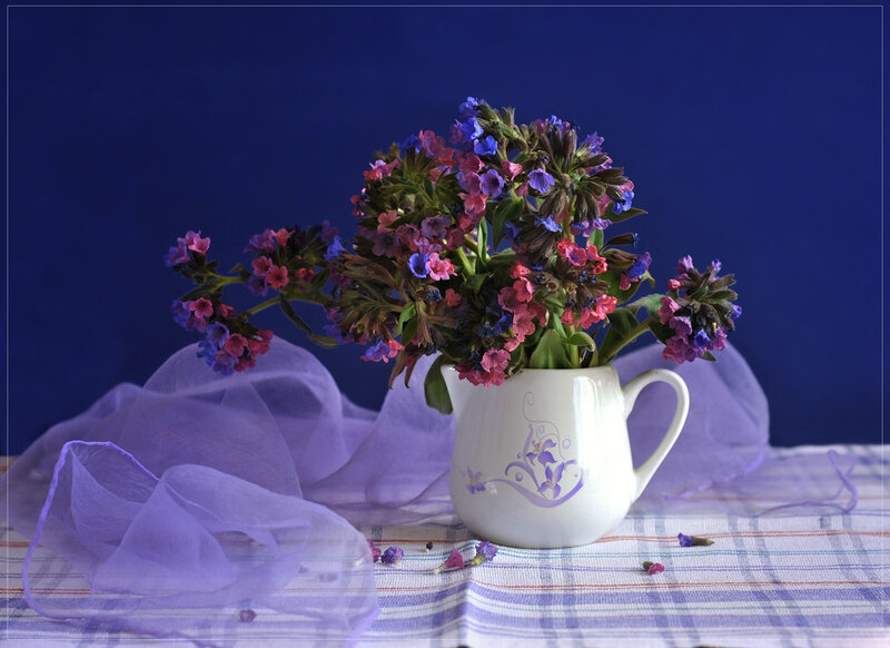 Flowers in a Pitcher — Blue, Calm