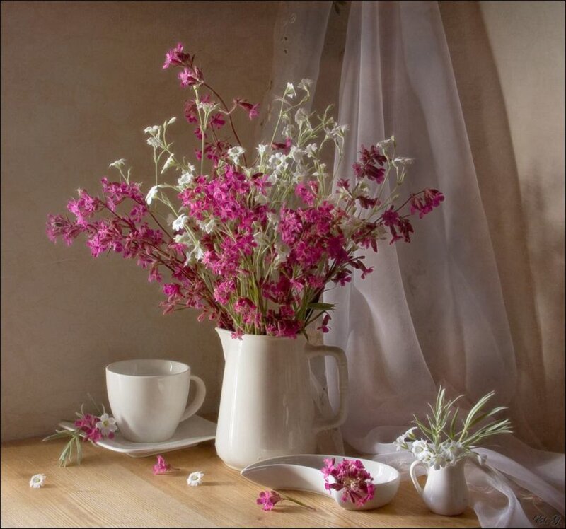 Flowers in a Pitcher — Pink, Serene