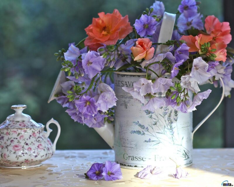 Flowers in a Pitcher — Purple, Serene, Afternoon