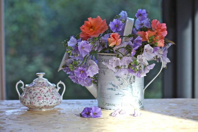 Flowers in a Pitcher — Purple, Serene, Morning