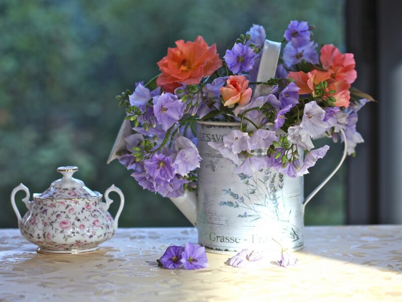 Flowers in a Pitcher — Purple, Serene