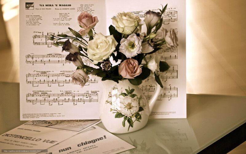 Flowers in a Pitcher — White, Calm