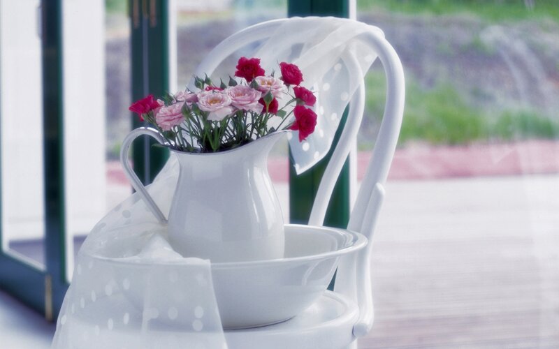 Flowers in a Pitcher — White, Serene, Afternoon
