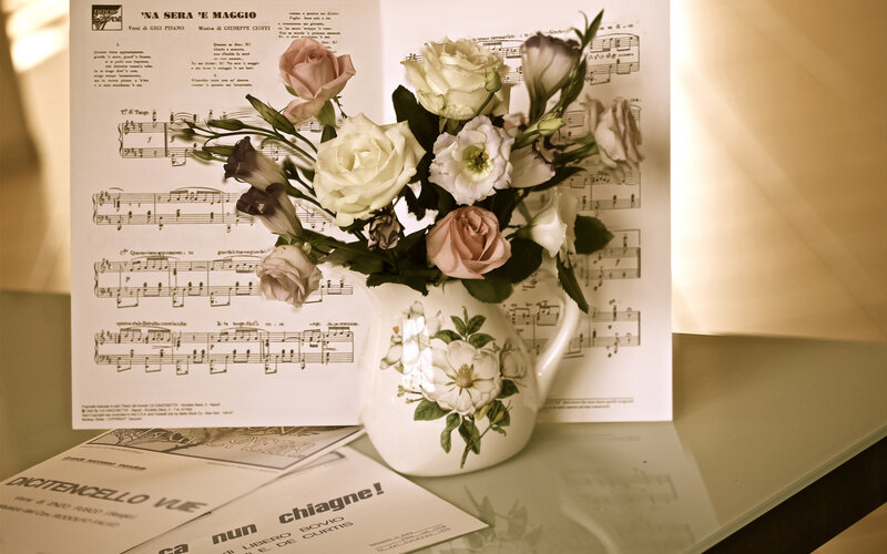 Flowers in a Pitcher — White, Serene, Photograph
