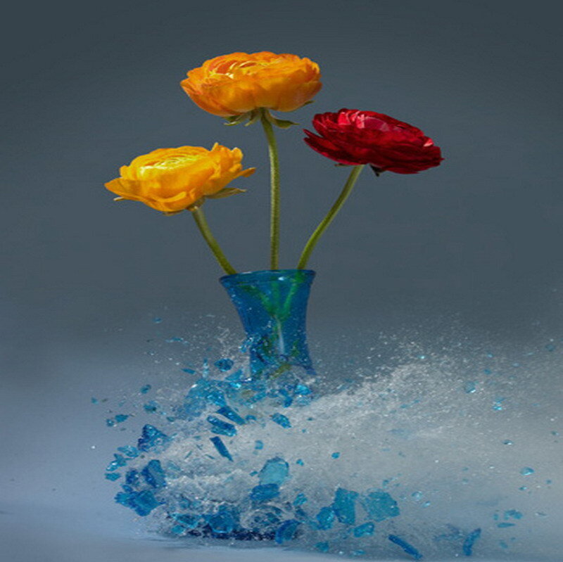 flowers in a shattered vase