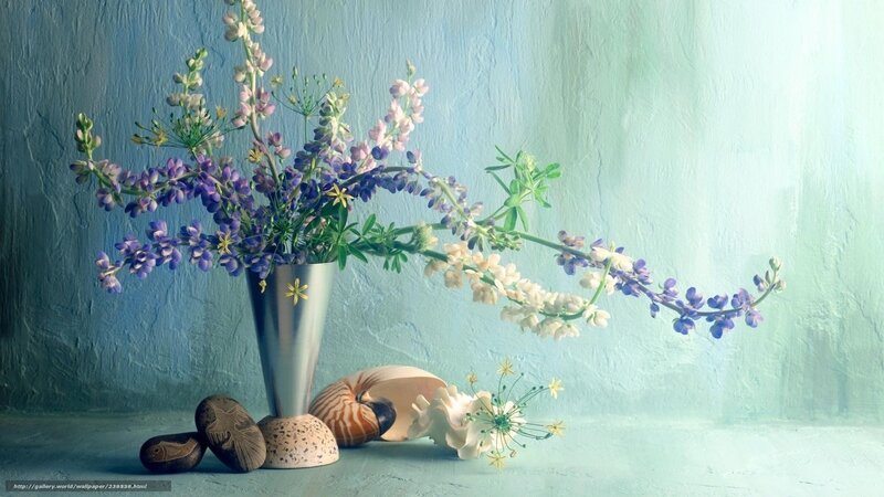 Flowers in a silver vase