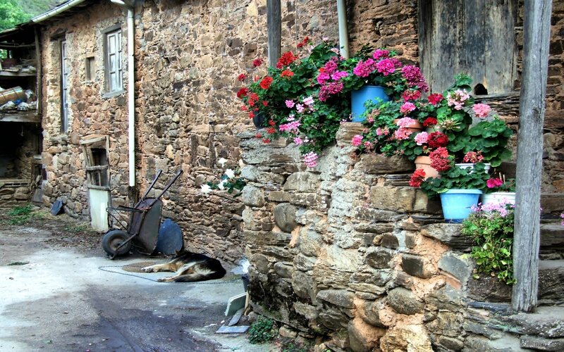 Flowers in a stone village
