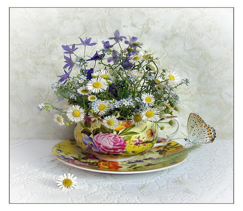Flowers in a teacup