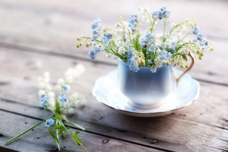 Flowers in a Teacup — Blue