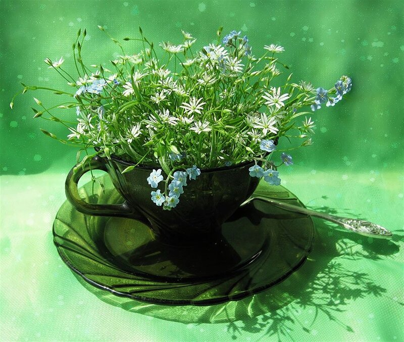 Flowers in a Teacup — Green