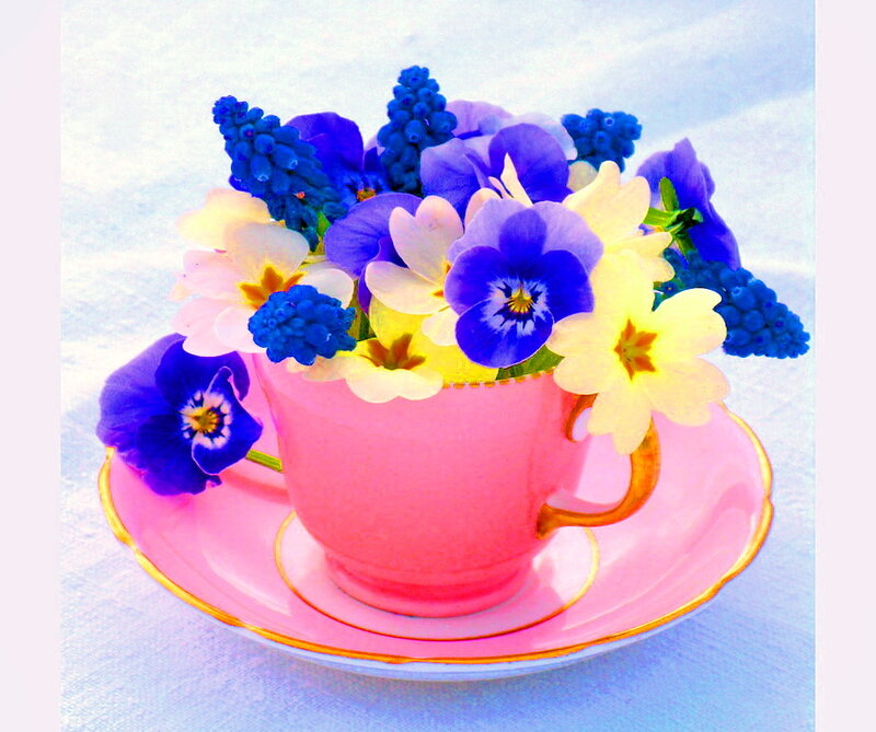 Flowers in a Teacup — Pink, Calm, Photograph
