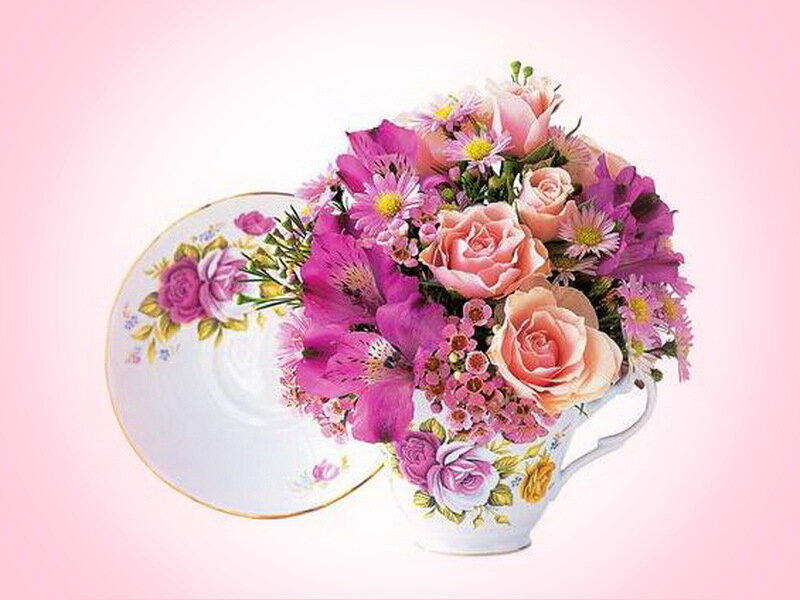 Flowers in a Teacup — Pink, Calm