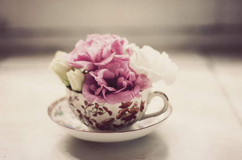Flowers in a Teacup — Pink, Serene, Photograph