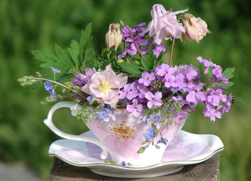 Flowers in a Teacup — Pink, Serene, Spring, Photograph, Saucer