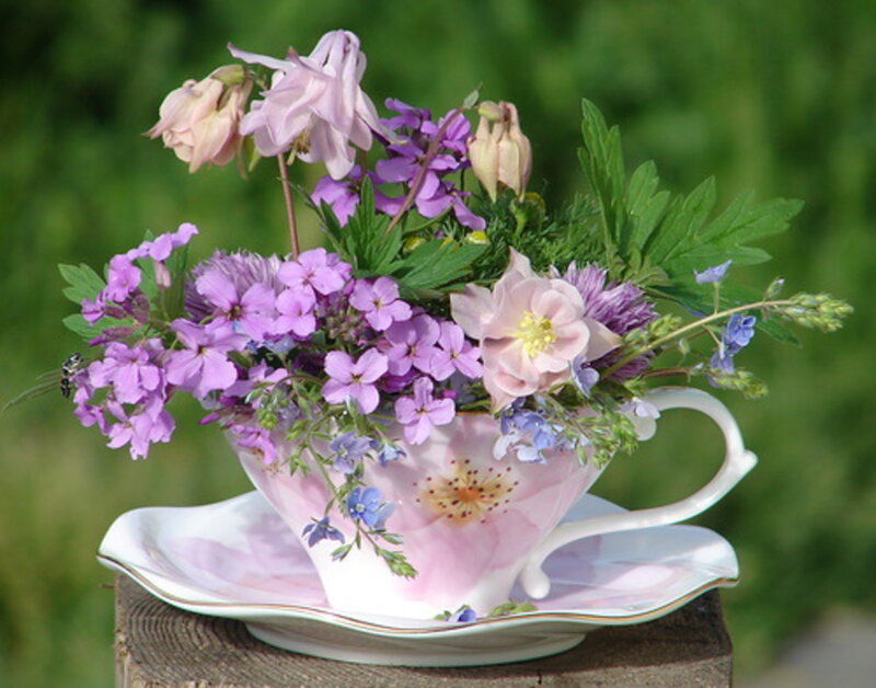 Flowers in a Teacup — Pink, Serene, Spring