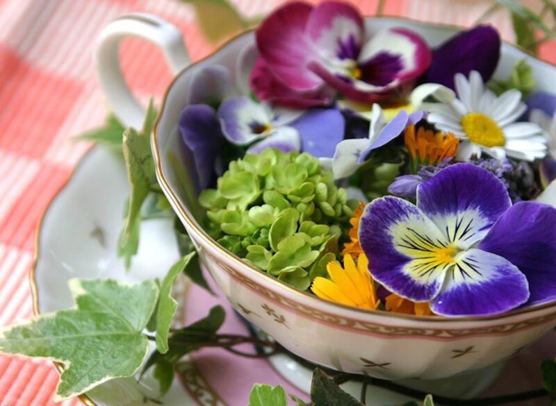 Flowers in a Teacup — Purple, Serene
