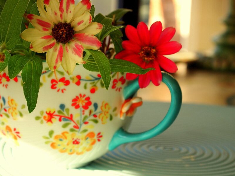 Flowers in a Teacup — White