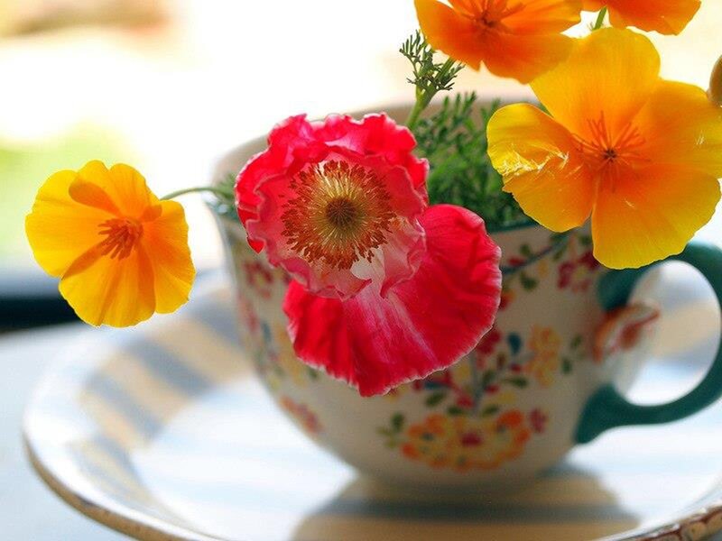 Flowers in a Teacup — Yellow, Serene