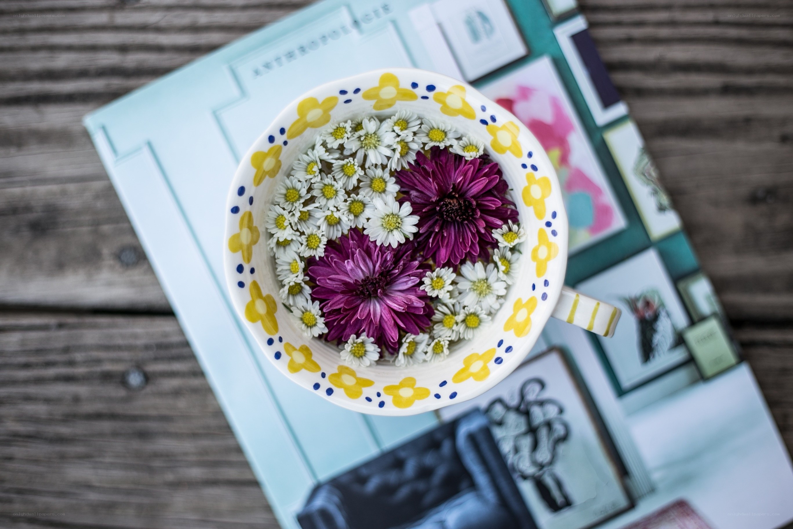 Flowers in a teacup