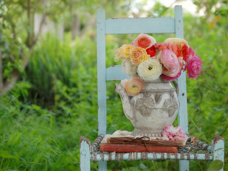Flowers in a Teapot