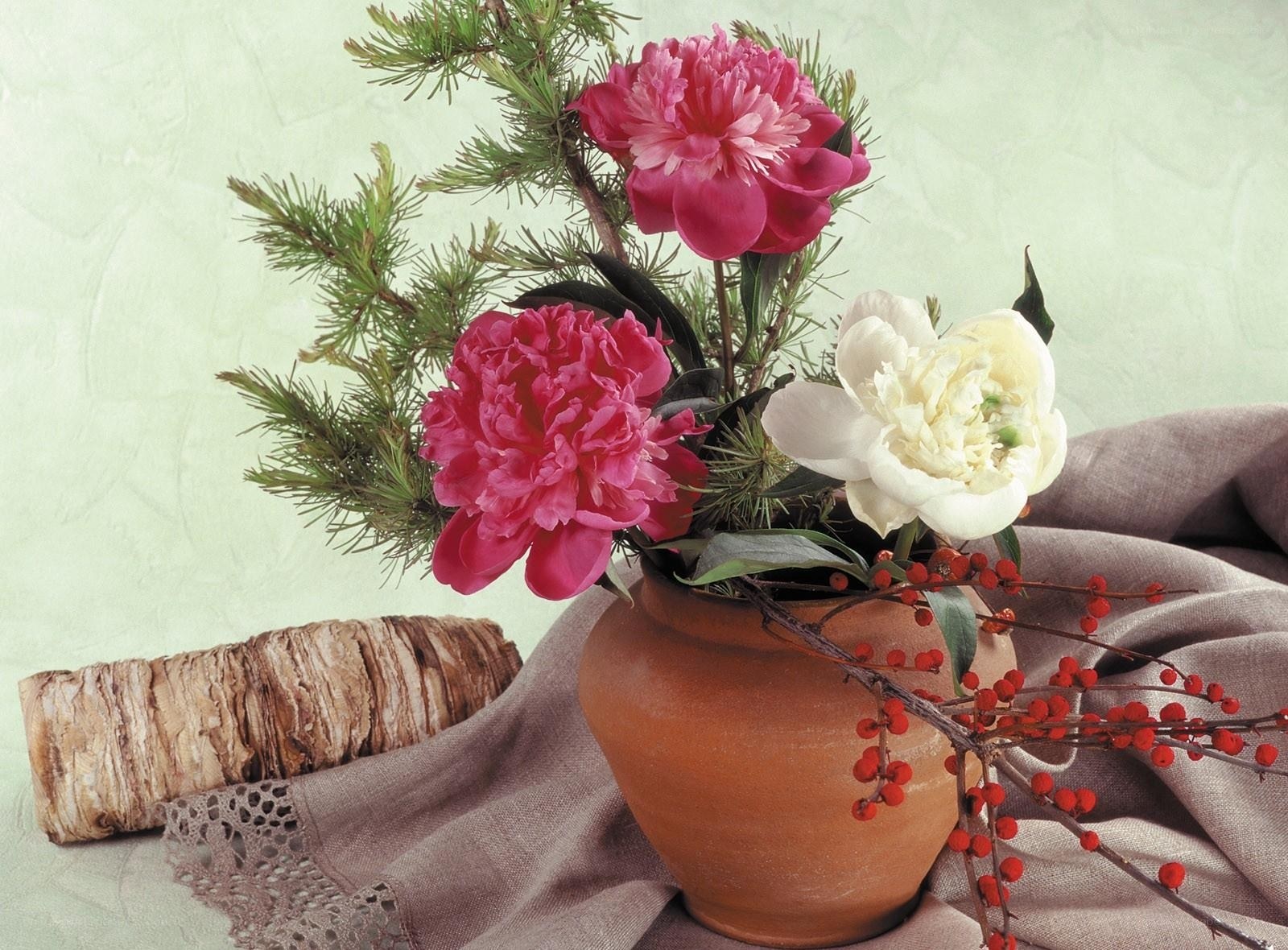 Flowers in a terracotta vase