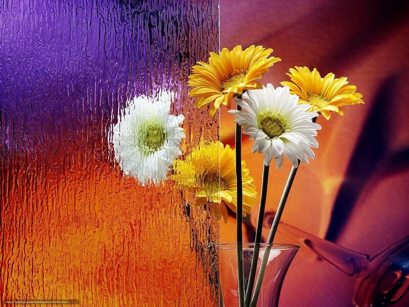 Flowers in a Vase