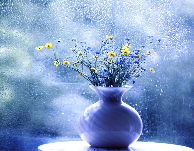 Flowers in a Vase — Blue, Calm