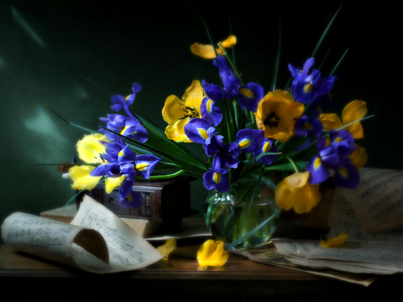 Flowers in a Vase — Blue, Dramatic, Photograph, Sheet Music